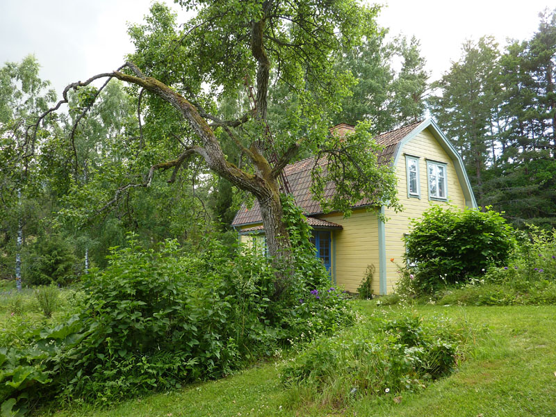 110624-25-Midsommar-044