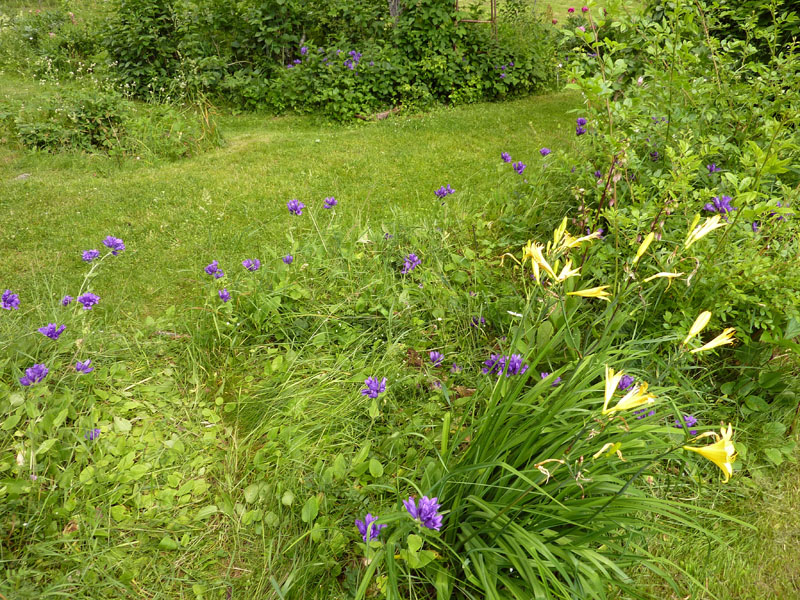 110624-25-Midsommar-049
