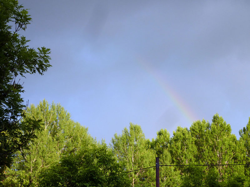 110624-25-Midsommar-053