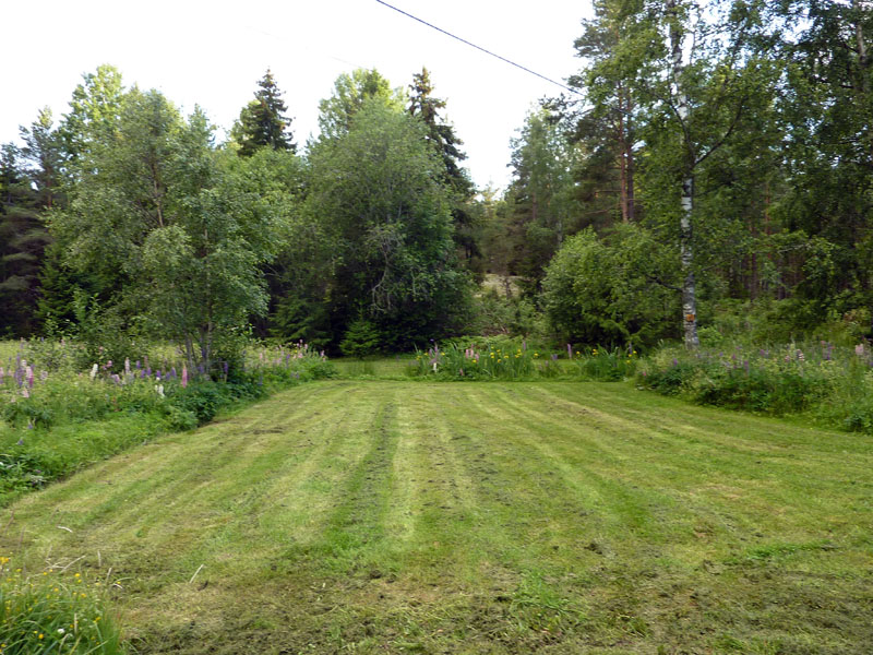 110624-25-Midsommar-058