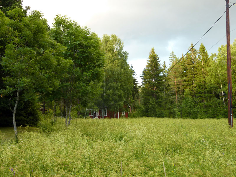 110624-25-Midsommar-062