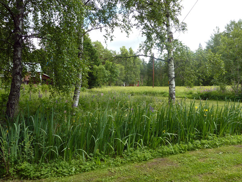 110624-25-Midsommar-077