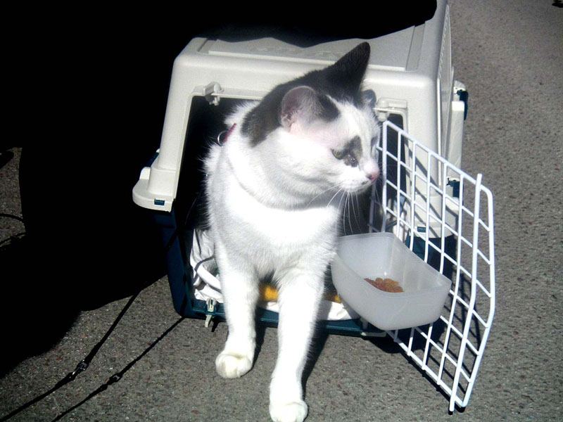 Peking-Påsken-2004-001