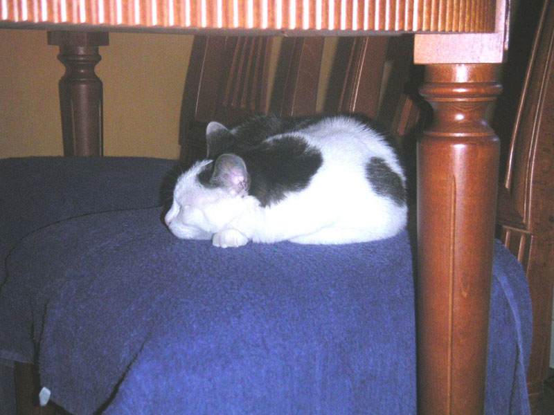 Peking-Påsken-2004-018