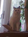02009-Annas Bilder-015