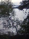 02009-Annas Bilder-023