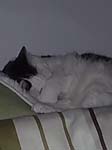 02009-Annas Bilder-044