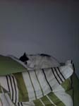 02009-Annas Bilder-045