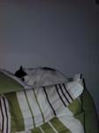 02009-Annas Bilder-046