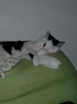 02009-Annas Bilder-047