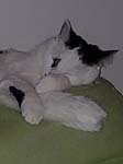02009-Annas Bilder-048