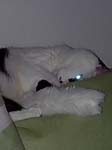 02009-Annas Bilder-050
