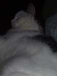 02009-Annas Bilder-053