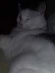 02009-Annas Bilder-054