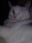 02009-Annas Bilder-055