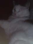 02009-Annas Bilder-056