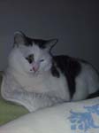 02009-Annas Bilder-057