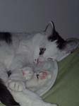 02009-Annas Bilder-062