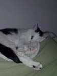 02009-Annas Bilder-063