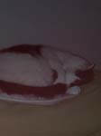02009-Annas Bilder-064