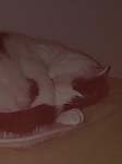 02009-Annas Bilder-065