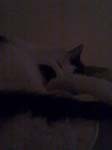 02009-Annas Bilder-086
