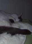 02009-Annas Bilder-087