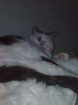 02009-Annas Bilder-088