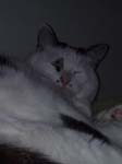02009-Annas Bilder-089