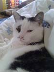 02009-Annas Bilder-091