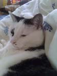 02009-Annas Bilder-092
