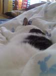 02009-Annas Bilder-093