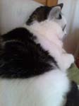 02009-Annas Bilder-099