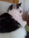 02009-Annas Bilder-100
