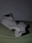 02009-Annas Bilder-106