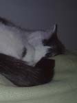02009-Annas Bilder-107