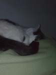 02009-Annas Bilder-108