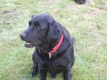 02009-Annas Bilder-114