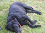 02009-Annas Bilder-115