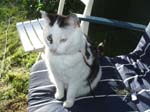 02009-Annas Bilder-116