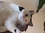 02009-Annas Bilder-121