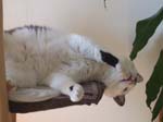 02009-Annas Bilder-123