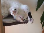 02009-Annas Bilder-124