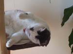 02009-Annas Bilder-125