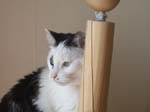 02009-Annas Bilder-127
