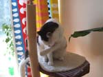 02009-Annas Bilder-128