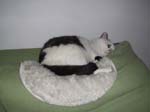 02009-Annas Bilder-129