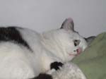 02009-Annas Bilder-130