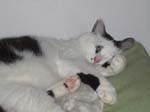 02009-Annas Bilder-132