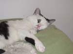02009-Annas Bilder-134